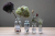 Nordic Smaller Brown Bottle Transparent Vase Ins Style Transparent Hydroponic Glass Vase Table Decoration Living Room Decorations