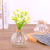 Small Vase Glass Vase Transparent Modern Simple and Fresh Creative Living Room Decoration Desktop Flower Dried Flower Vase