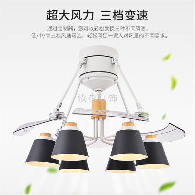 Modern Ceiling Fan Unique Fans with Lights Remote Control Light Blade Smart Industrial Kitchen Led Cool Cheap Room 13