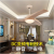 Modern Ceiling Fan Unique Fans with Lights Remote Control Light Blade Smart Industrial Kitchen Led Cool Cheap Room 50
