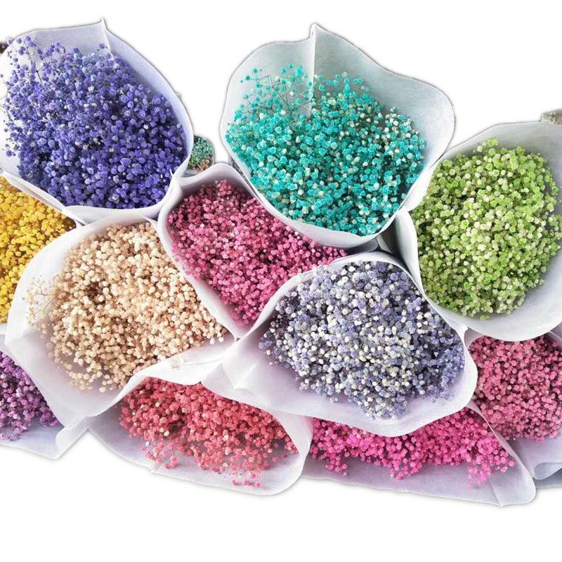 菀薇永生保鲜花满天星 插花 工艺品 浮游瓶 干花搭配