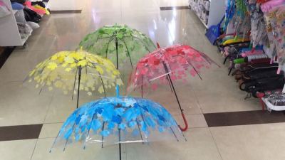 Transparent Blade Umbrella, Fashion Umbrella. New Floret Umbrella