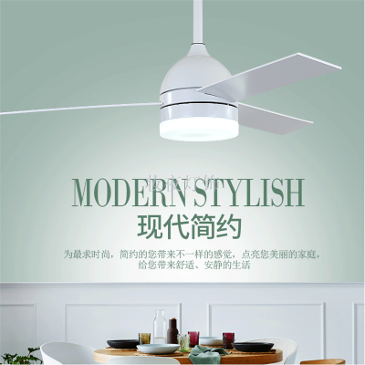 Modern Ceiling Fan Unique Fans with Lights Remote Control Light Blade Smart Industrial Kitchen Led Cool Cheap Room 16