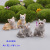 Factory direct resin animal simulation pet cat meaty flower pot psychological sand game micro landscape