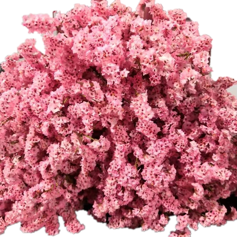 天然永生水晶草干花家居装饰摆件diy材料