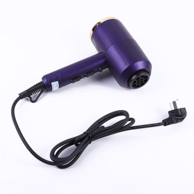 New Factory Direct Sales Hair Dryer Hair Salon Large Wind Hair Dryer Wholesale Foreign Trade Ebay Wish Supply