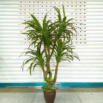 The garden restaurant is decorated with a simulated potted tree