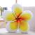 Creative simulation of flowers and leaves pillow soft plush toys home as children 's room decoration a birthday gift