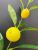 Lemon fruit manufacturers direct simulation lemon home decoration berries simulation fruit