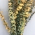 Direct manufacturers of natural plants eternal protection flowers bleach eucalyptus eucalyptus copper money flower vase 