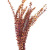 Direct manufacturers of natural plants eternal protection flowers bleach eucalyptus eucalyptus copper money flower vase 