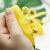 Web celebrity hot style banana key chain plastic bag pendant creative gift key chain