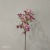 Single star artificial flower artificial flower artificial flower wedding furniture decoration