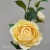Single perfume camellia simulation flower false flower furniture hotel decoration