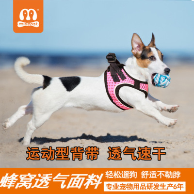 Pneumothorax strap sport Quick dry chest strap customized Pet supplies for cats and dogs