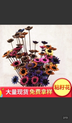 Heart-Connected Sticky Seed Flower Holder Flower Photo Frame Decorative Crafts Accessories