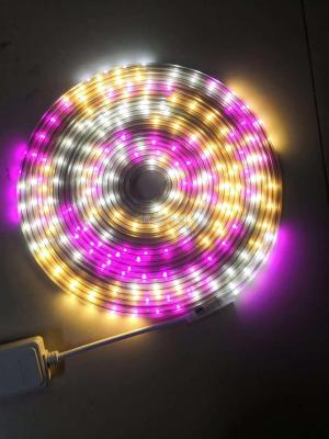 2835 high voltage lamp with 10 meter suit 220V waterproof six color LED lamp strip 1 meter 48 bead with plug