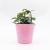 Y19 laminated amine flowerpot plastic flowerpot