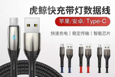 Fast Charging Data Cable with Light