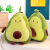 Wholesale New Creative Avocado Plush Toy Cartoon Doll Emulational Fruit Pillow Soft Doll Christmas Gift