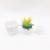 Y28 eggshell shaped amine flowerpot plastic flowerpot