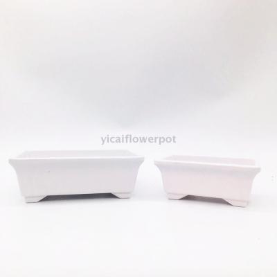 F52 mini oblong amine flowerpot plastic flowerpot