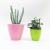 Y112 round pineapple amine flowerpot plastic flowerpot