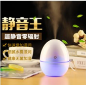 The Big egg humidifier