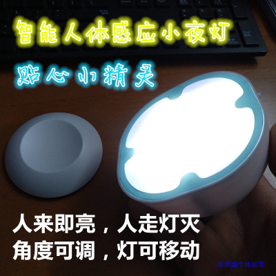 LED light-controlled human body sensor light smart home corridor wardrobe car emergency light USB charging