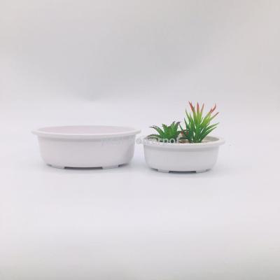 Y105 oval flowerpot plastic flowerpot imitation flower flowerpot