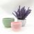 Y1806 round cup melamine flowerpot plastic flowerpot