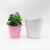 Y301 wave mouth dense amine flowerpot plastic flowerpot