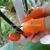 Silicone Thumb Knife 5pc Finger Protectors Vegetable Harvesting Cutter Plant Blade Scissors Kitchen Anti-Cut Garden Glov