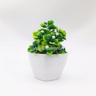 Y402 peach amine flowerpot plastic flowerpot