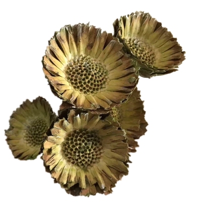 Natural plant dried flower sunflower handicrafts flower arrangement with flowers