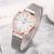 Douyin with a hot-selling foreign trade ladies fashion magnet watchband watch disc set diamond watch