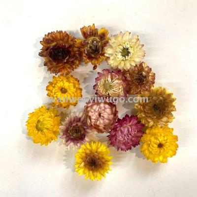 Pure natural plant dry flowers colorful straw chrysanthemum head ornaments handicrafts such as picture  matching flowers