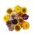 Pure natural plant dry flowers colorful straw chrysanthemum head ornaments handicrafts such as picture  matching flowers