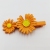 New Textured Alloy Little Daisy Cute Small Hairpin Headwear Internet Celebrity Ins Pop