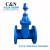 Manufacturer direct flange soft seal gate valve nodular cast iron blind stem soft seal gate valve cast iron gate valve