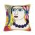 Picasso creative pillow manufacturers direct sofa pillow cushion a large quantity of goods