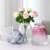 Nordic Fresh Simple Flower Glass Vase Dried Flower Hydroponic Vase Creative Living Room Decoration