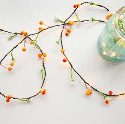Led fruit copper wire lamp string rattan lamp ins girl heart room decorative lights Christmas festive wedding lights
