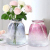 Nordic Fresh Simple Flower Glass Vase Dried Flower Hydroponic Vase Creative Living Room Decoration