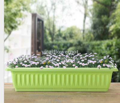 Plastic flowerpot for oblong dish basin lazy man flowerpot