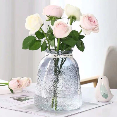 Nordic Fresh Simple Flower Glass Vase Dried Flower Hydroponic Vase Creative Living Room Decoration