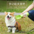The new multi - function dining set The pet cup of pet dog hangs The'll cup to go out The portable drinking fountain