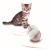 Electric laser cat toy LED rolling cat toy light ball cat fun toy shake sound