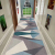 Home in modern geometric carpet uncorrected carpet marble style