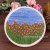Handmade Embroidery DIY Kit Cloth Art Material Kit Three-Dimensional Antique Creative European Cross Stitch String Embroidery New